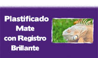 Submenu plastificado mate con resgistro brillante