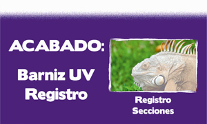 menu registro