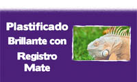 submenu plastificado brillante con registro mate