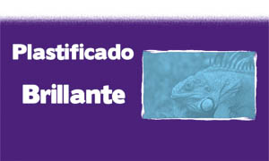 submenu plastificado brillante