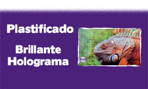 submenu plastificado holografico