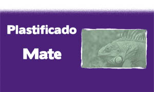 submenu plastificado mate